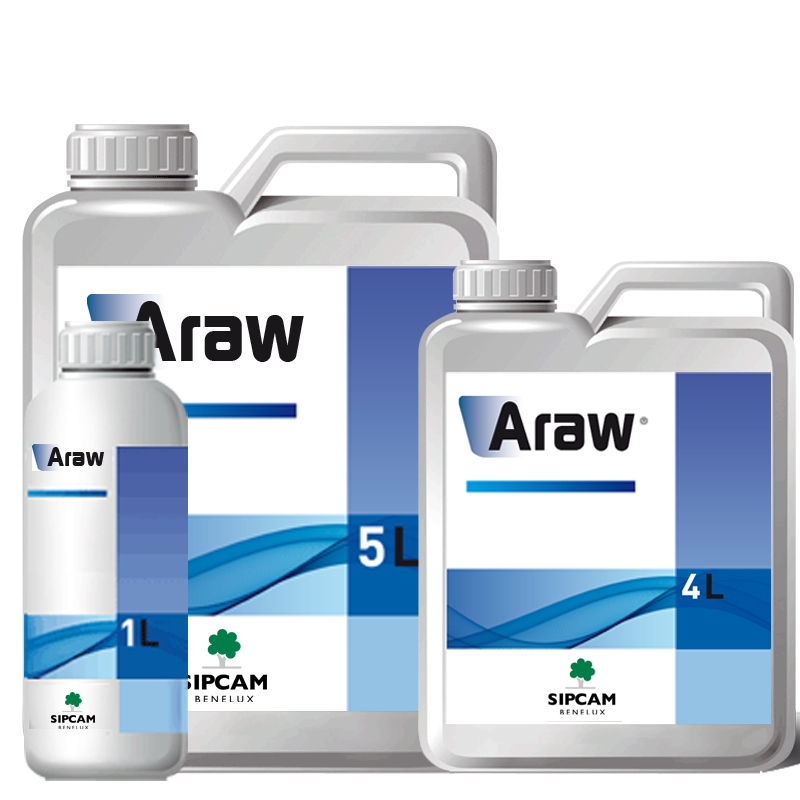 Sipcam Italia - ARAW